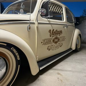 WhatsApp Image 2025-08-08 at 11.13.21 (1)